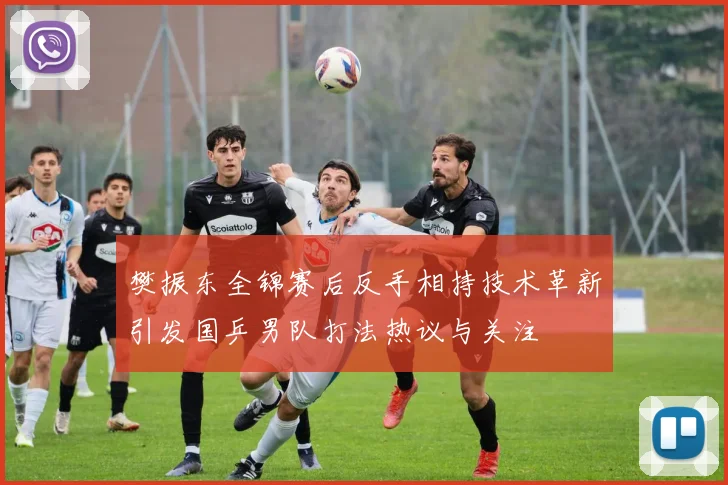 樊振东全锦赛后反手相持技术革新引发国乒男队打法热议与关注